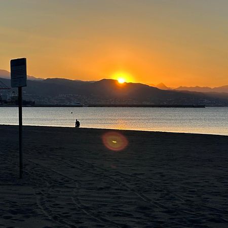 Villa Flor Málaga Dış mekan fotoğraf