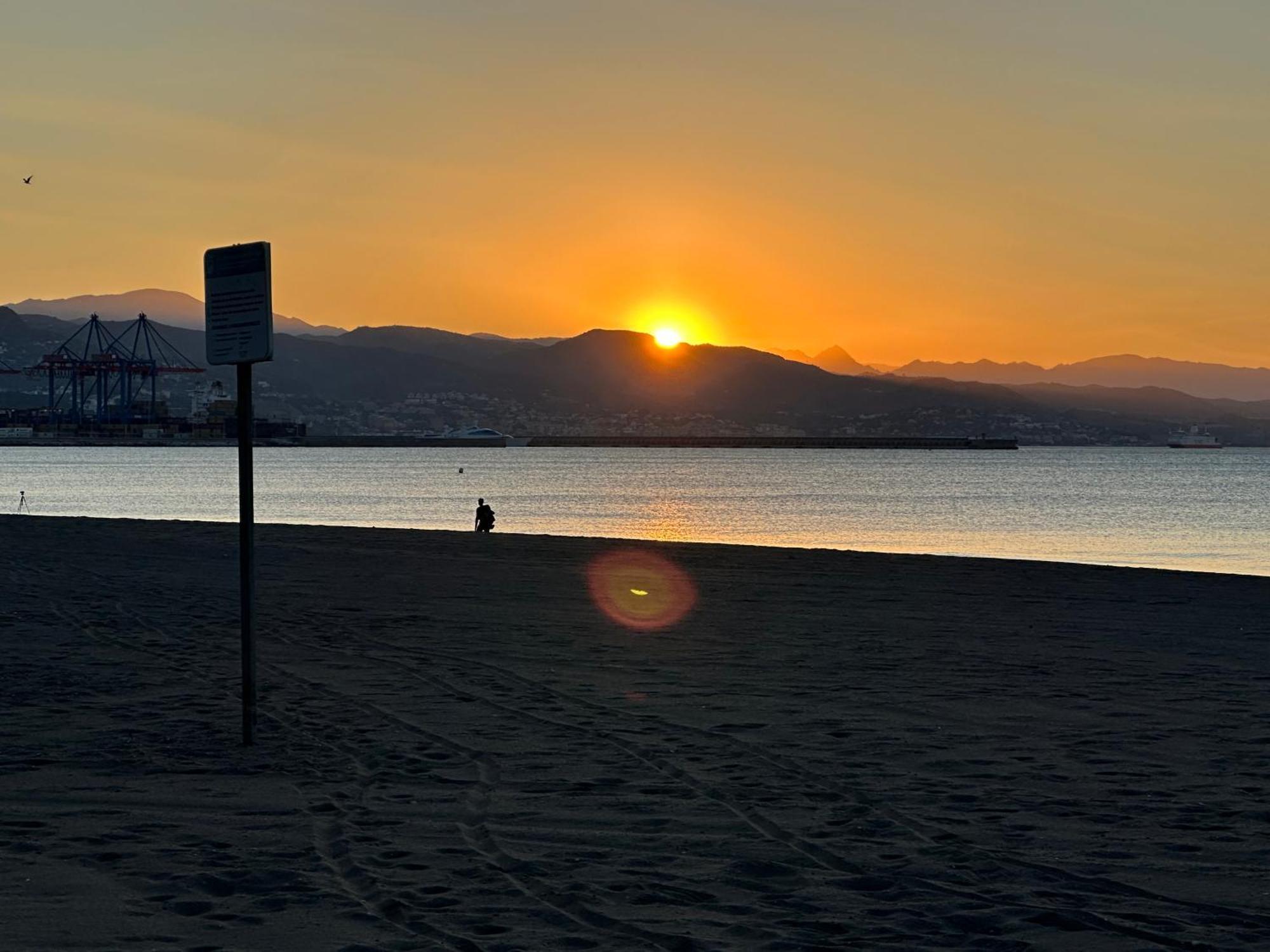 Villa Flor Málaga Dış mekan fotoğraf